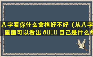 八字看你什么命格好不好（从八字里面可以看出 🐒 自己是什么命）